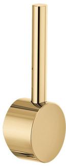 Brizo Polished Gold Handle 