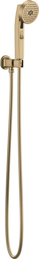 Brizo Luxe Gold Multi Function Hand Shower 