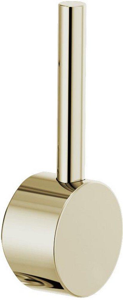 Brizo Polished Nickel Handle 