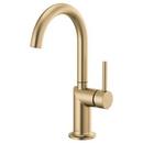 Single Handle Bar Faucet in Luxe Gold (Handle Sold Separately)