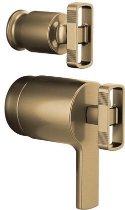 TempAssure® Thermostatic Integrated Diverter Trim Knob Handles in Brilliance® Luxe Gold®