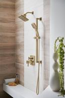 Brizo Luxe Gold Multi Function Full + Shampoo Spray, Full Spray, H2Okinetic&reg; Rinsing Spray, Massaging Spray and Shampoo Spray Showerhead 