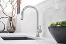 Brizo Chrome Single Handle Pull Down Kitchen Faucet 