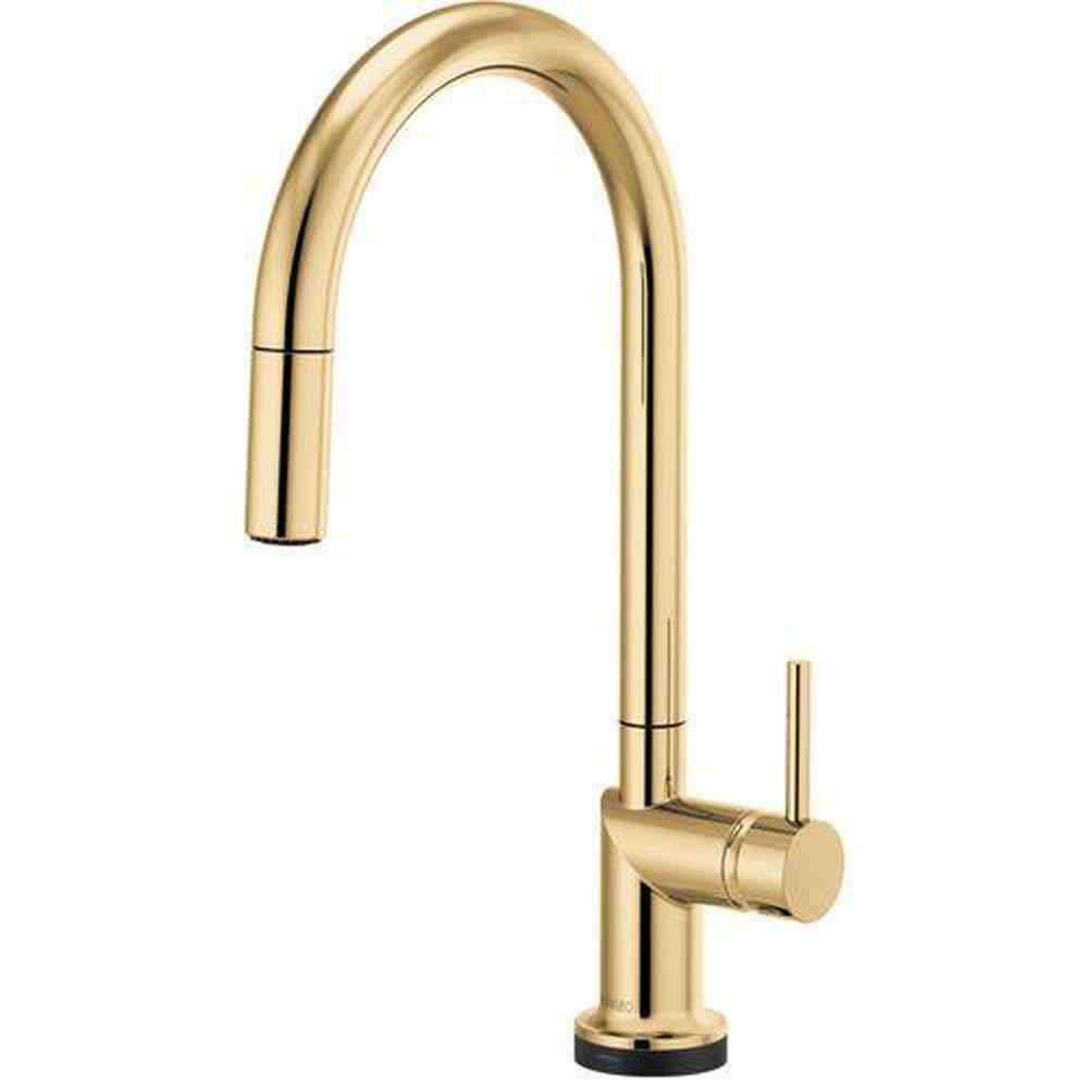 Brizo Polished Gold Single Handle Pull Down Touch Activated Kitchen Faucet 