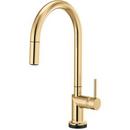 Brizo Polished Gold Single Handle Pull Down Touch Activated Kitchen Faucet 