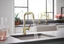 Brizo Polished Nickel Pull Down Kitchen Faucet 