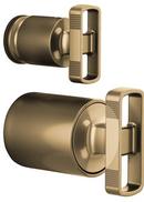 Brizo Luxe Gold Zinc Handle Kit 
