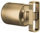 Brizo Luxe Gold Zinc Handle Kit 