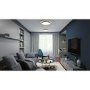 AFX Satin Brass 3 in. 22W 2-Light Integrated LED Flush Mount Ceiling Fixture 