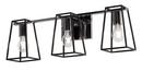 60W 3-Light Medium E-26 Vanity Fixture in Black with Polished Chrome