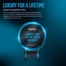 TOTO Polished French Gold Single Handle Monoblock Vessel Filler Bathroom Sink Faucet 