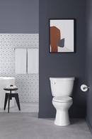 *CVR* ELATE 24 TWL BAR 