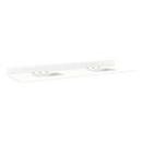 73 x 22 in. 2-Bowl Quartz Vanity Top in White with Feathered White