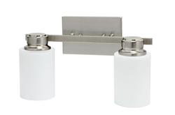 60 W 2 Medium E-26 in Brushed Nickel