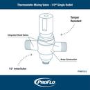 PROFLO® Rough Brass NPS Mixing Valve 