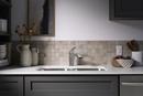 Sterling Vibrant Stainless Single Handle Pull Out Kitchen Faucet 
