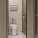 Zurn Chrome Plated Flush Valve 