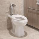 Zurn Chrome Plated Flush Valve 