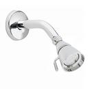 Moen Polished Chrome Showerhead 
