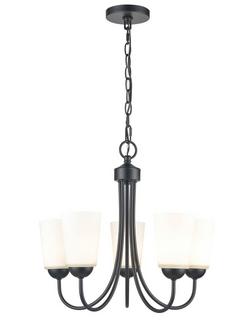 5-Light Chandelier Ceiling Light in Matte Black