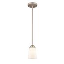 Millennium Lighting Satin Nickel 100W 1-Light Medium E-26 Mini-Pendant 