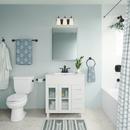 Millennium Lighting Matte Black 100W 3-Light Medium E-26 Vanity Fixture 