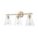 Millennium Lighting Modern Gold 100W 3-Light Medium E-26 Vanity Fixture 