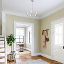 Millennium Lighting Satin Nickel 5-Light Chandelier Ceiling Light 