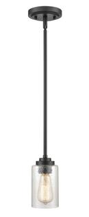 1-Light Mini-Pendant Light in Matte Black