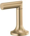 Brizo Luxe Gold Handle 
