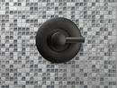 Brizo Matte Black Thermostatic Valve Trim (Handle Sold Separately) 