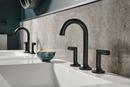 Brizo Matte Black Two Handle Zinc Lever Handle 