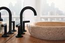 Brizo Matte Black Two Handle Zinc Lever Handle 