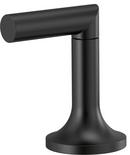 Brizo Matte Black Two Handle Zinc Lever Handle 