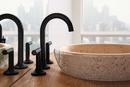 Brizo Matte Black Two Handle Zinc Lever Handle 