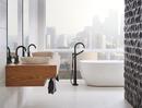 Brizo Matte Black Two Handle Zinc Lever Handle 
