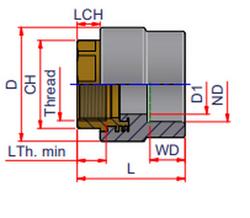 1/2 in. FPT x Socket Fusion PP-RCT Adapter
