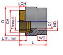 1 in. FPT x Socket Fusion PP-RCT Adapter