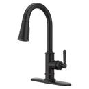 Pfister Tuscan Bronze Single Handle Pull Down Kitchen Faucet 