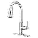 Pfister Polished Chrome Single Handle Pull Down Kitchen Faucet 