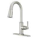 Single Handle Pull Down Kitchen Faucet in Stainless Steel