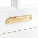 Signature Hardware Satin Brass Brass Window Sash Lift 