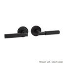 Signature Hardware Satin Black Privacy Interior Door Set Lever in Satin Black 