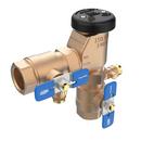 Zurn Wilkins Cast Bronze MPT Cast Bronze 150 psi BFP Vacuum Breaker 