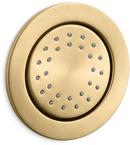 Single Function Body Spray in Vibrant® Brushed Moderne Brass