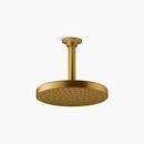 Single Function Showerhead in Vibrant® Brushed Moderne Brass