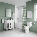 PROFLO&reg; Brushed Nickel Single Handle Shower Faucet Trim Only 
