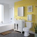 PROFLO&reg; Chrome Single Handle Multi Function Bathtub & Shower Faucet 