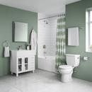 PROFLO&reg; PVD Brushed Nickel Toilet Tissue Holder 