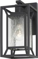 1-Light Outdoor Wall Sconce 